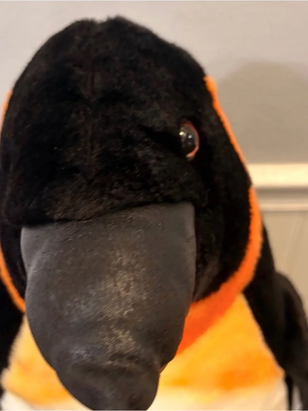 SeaWorld Jumbo 24